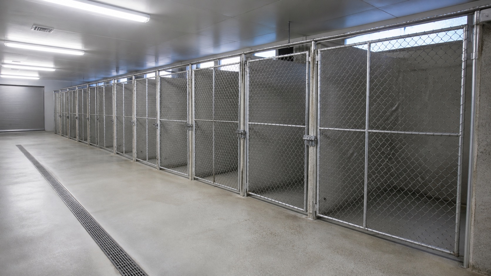 A row of clean, empty concrete kennel runs behind galvanized chain-link, lit by cool overhead fluorescent light