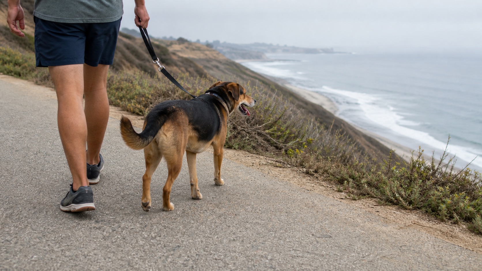 A dog on a short leash walking a paved bluff-top coastal trail on an overcast morning, ocean visible below