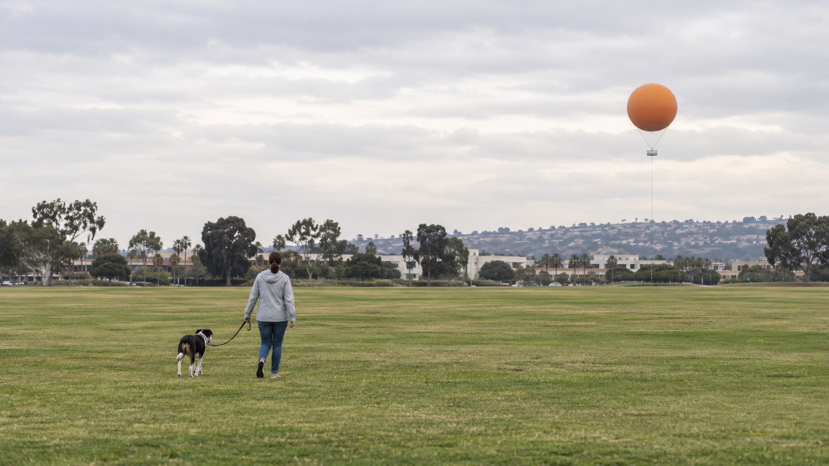 A person in a light jacket walking a leashed black-and-white mixed-breed dog across a wide grass meadow, with a large orange tethered balloon rising in the distance under an overcast sky