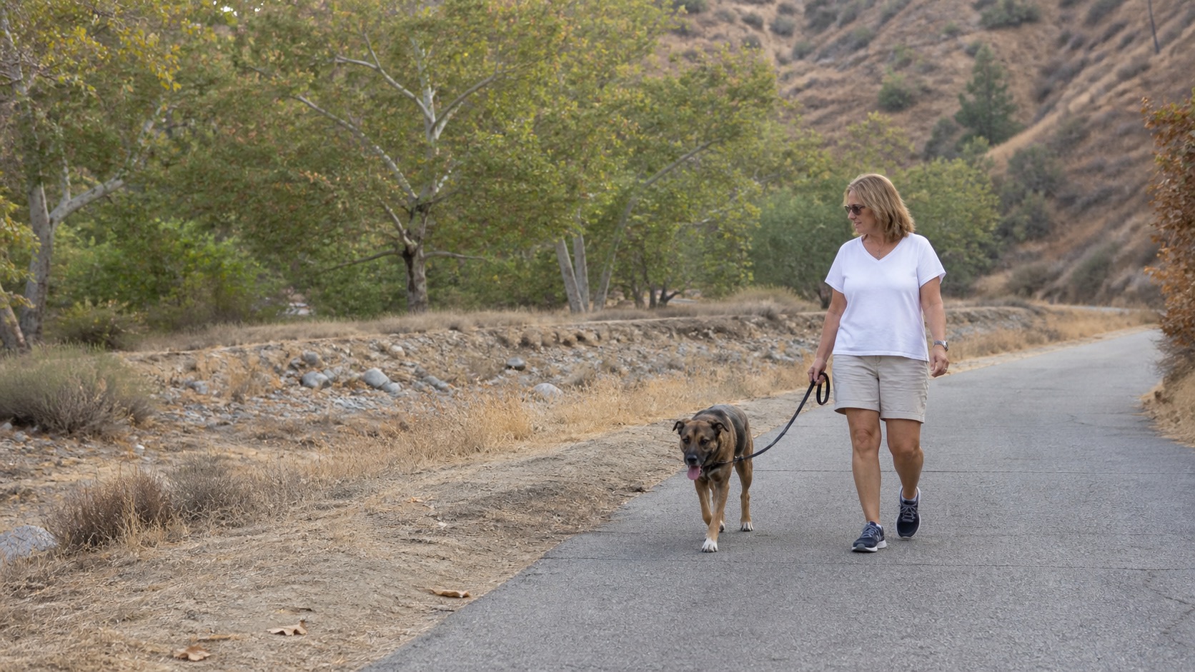 A leashed tan mixed-breed dog walking just ahead of its owner on a flat paved path beside a dry rocky creek bed, with sycamores and dry golden hills behind them